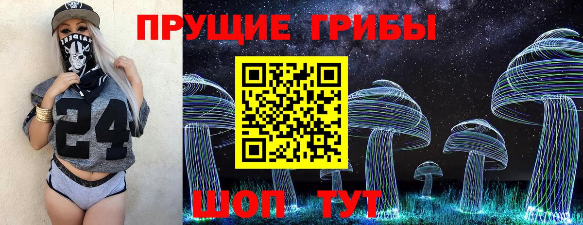 Псилоцибиновые грибы Cubensis Чайковский