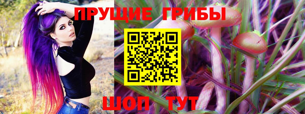 Чайковский  Псилоцибиновые грибы Psilocybine cubensis  Вход с VPN  Галлюциногенные грибы Psilocybe 